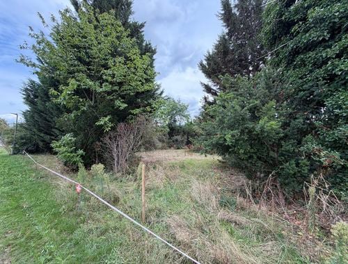                                         Bouwgrond te koop in Werchter, € 295.000
