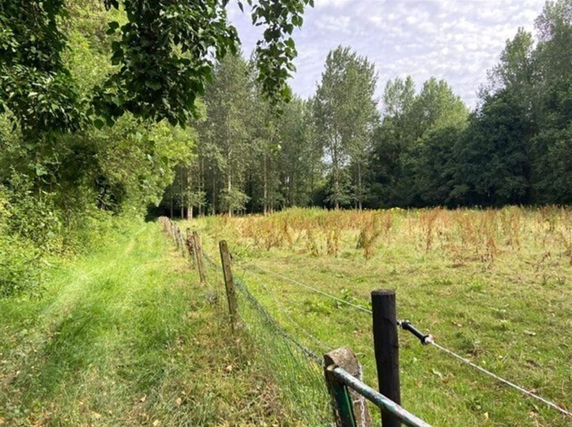 Weiland op 2 percelen met een totale oppervlakte van 1ha 6a 95ca in Vorst<br />
Ligging: Gelegen in een groene en rustige omgeving in Vorst<br />
Omsc