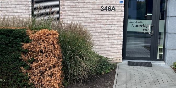 Appartement te huur in Rijksweg 346 bus A1, 3630 Mechelen-aan-de-Maas
