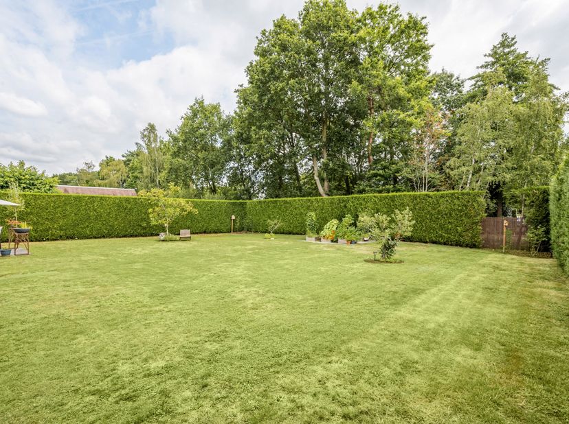 Maison à vendre
                    à 2360 Oud-Turnhout