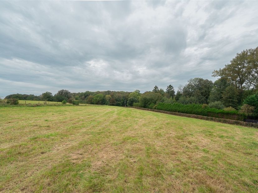 Gelegen in een rustige straat in het charmante dorpje Rosé (Florennes), heeft dit grote perceel van ongeveer 80 are een voorgevel van meer dan 160 met