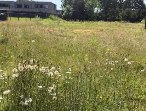                                         Bouwgrond te koop in Heusden, € 150.000
