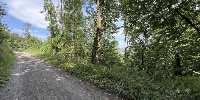 Grond te koop in Roisse Herbet 7, 6941 Bomal