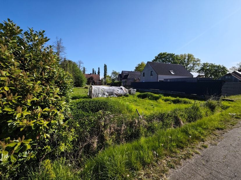 Terrain à vendre
                    à 2490 Balen