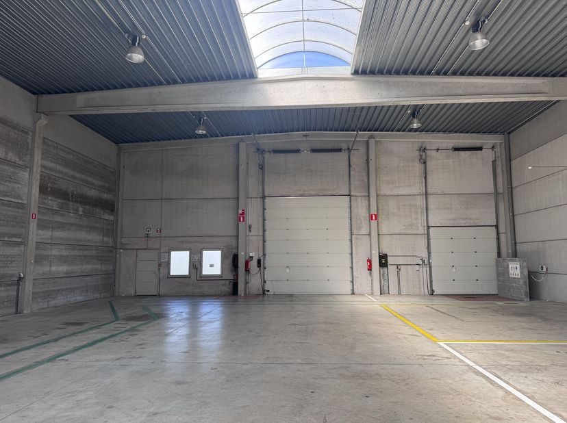 Bien professionnel à vendre
                    à 9140 Temse
