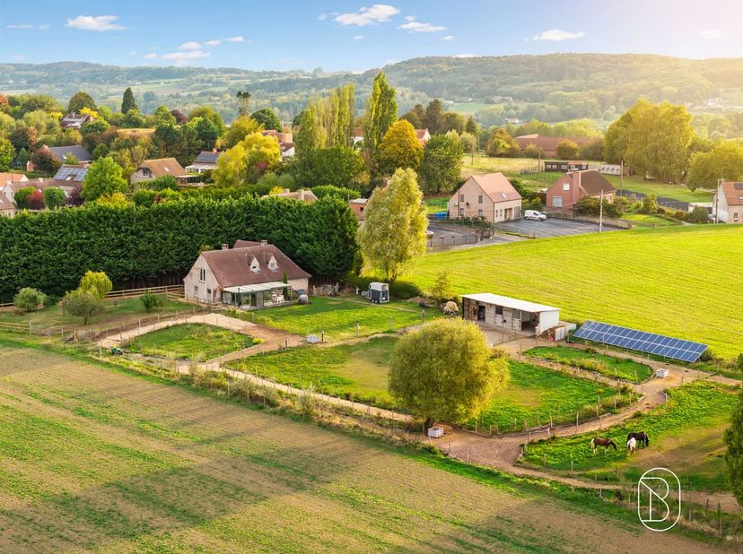 Huis te koop in mont 56 bus A,
                    7890 Ellezelles