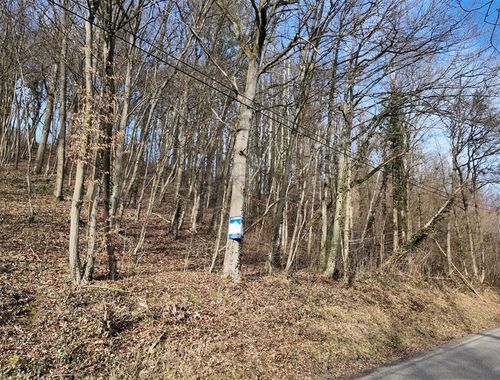                                         Grond te koop in Bomal-sur-Ourthe, € 99.000
