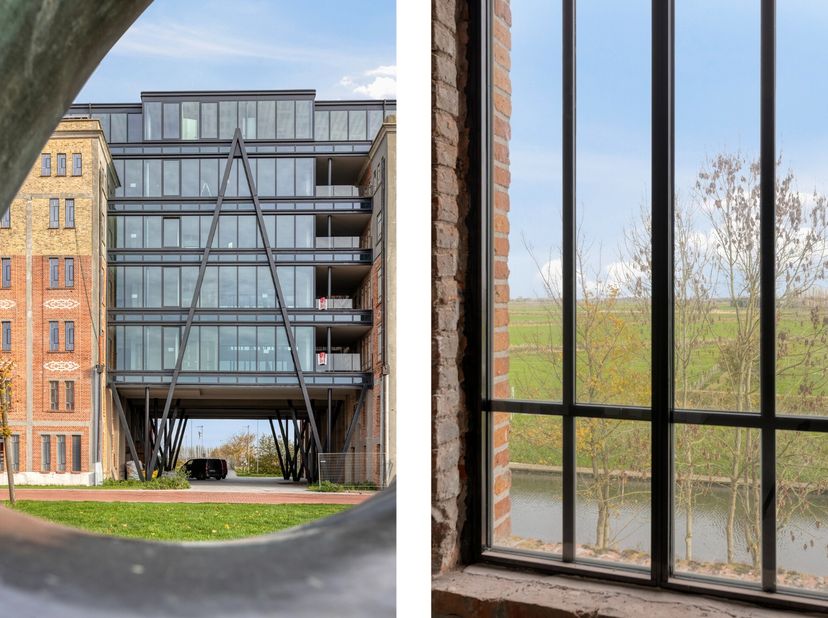 Welkom in de Bloemmolens, een stukje industrieel erfgoed vol charme en geschiedenis. De karaktervolle torens staan al decennialang leeg, maar nu is he