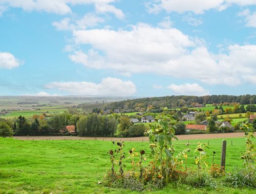                                         Bois à vendre à Renaix, € 69.000
