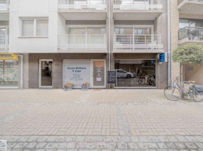 Bien professionnel à vendre
                    à 8450 Bredene