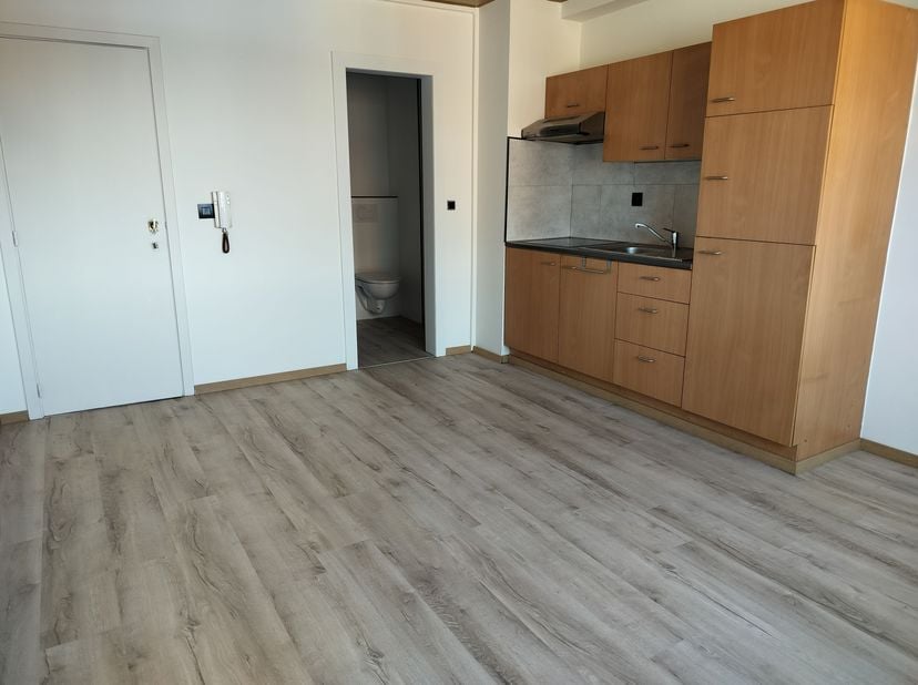 Op zoek naar een slimme investering of een gezellige woonst voor jezelf? Deze instapklare studio te Poperingseweg 79 bus 3A in Ieper combineert comfor