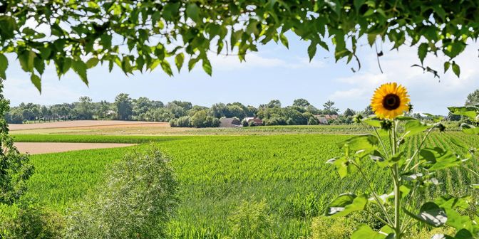 Bedrijfsvastgoed te koop in 9700 Oudenaarde