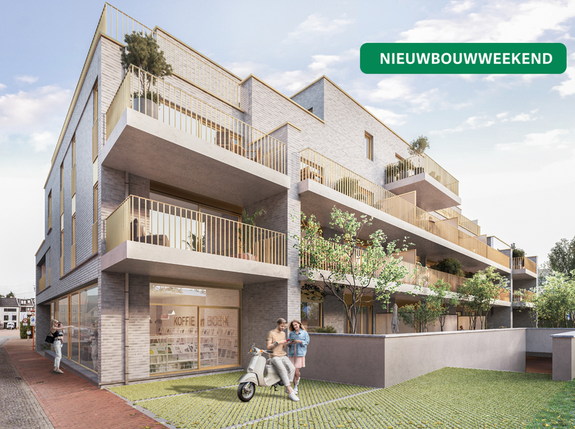 Project in Goudenhoofdstraat 19,
                    8970 Poperinge
