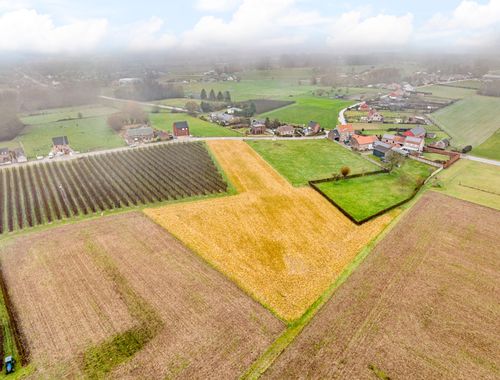                                         Terrain agricole à vendre à Hoeleden, € 35.000
