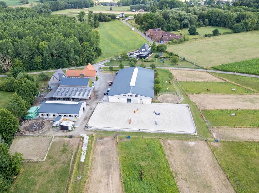DILBEEK - Dit uitgestrekte complex, met maar liefst 35boxen, biedt een breed scala aan faciliteiten die voldoen aan de hoogste eisen voor fok- en spor