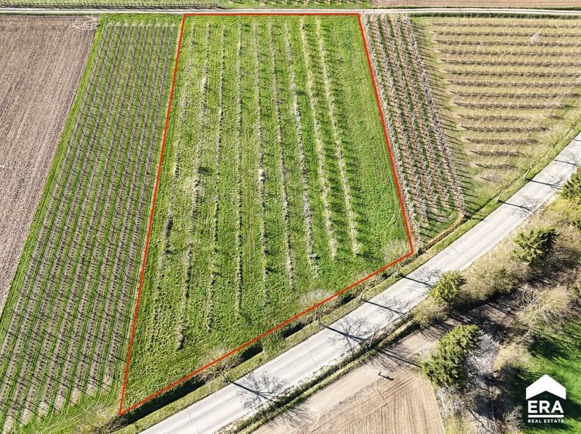 Terrain à vendre
                    à 3800 Gelinden