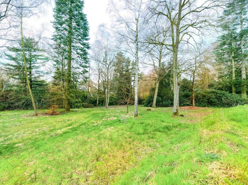 Sint-Pieters-Woluwe, prachtige bouwgrond van 1939 m², gelegen in de zeer gegeerde wijk Corniche Verte, nabij het Dumonplein met zijn vele handelszaken