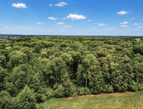                                         Bos te koop in Boussu-lez-Walcourt, € 132.500
