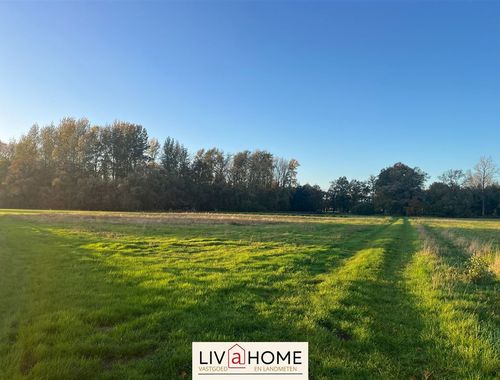                                         Terrain agricole à vendre à Herselt, € 156.000
