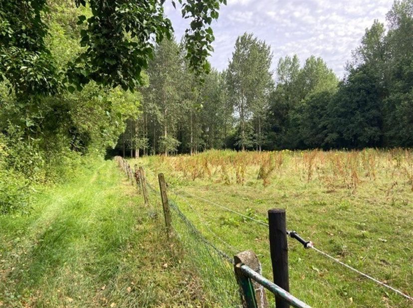 Weiland op 2 percelen met een totale oppervlakte van 1ha 6a 95ca in Vorst<br />
<br />
Ligging: Gelegen in een groene en rustige omgeving in Vorst<b
