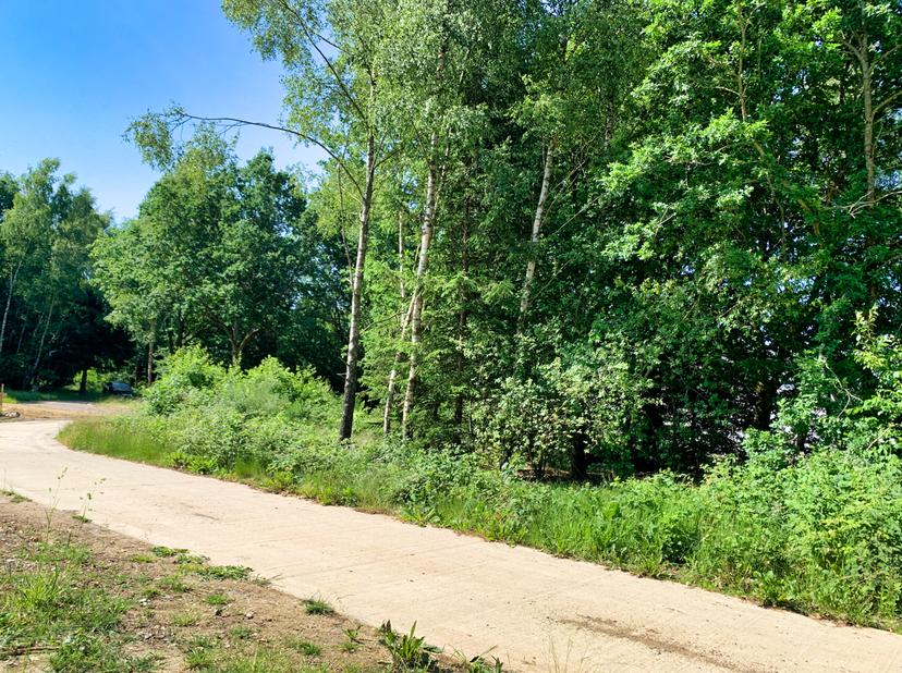 Bouwterrein met bomen, deel uitmakend van het standingvolle Residentieel Park les Onays, volledig uitgerust<br />
Info+: Kosten te voorzien : 250€ voo