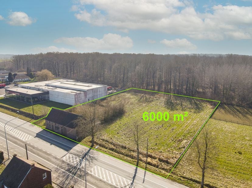 Terrain van 5.976 m² met te renoveren woning – Strategische ligging<br />
Gelegen langs één van de belangrijkste verbindingsassen tussen Doornik en Le