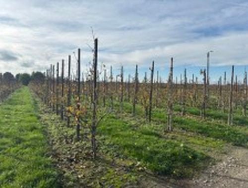                                         Grond te koop in Wilderen, € 7.400

