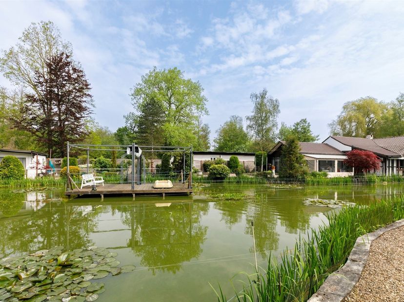 Rustig gelegen instapklare vakantiewoning op ca 17are<br />
<br />
<br />
Vakantie in eigen tuin op dit prachtig perceel met grote vijver. <br />