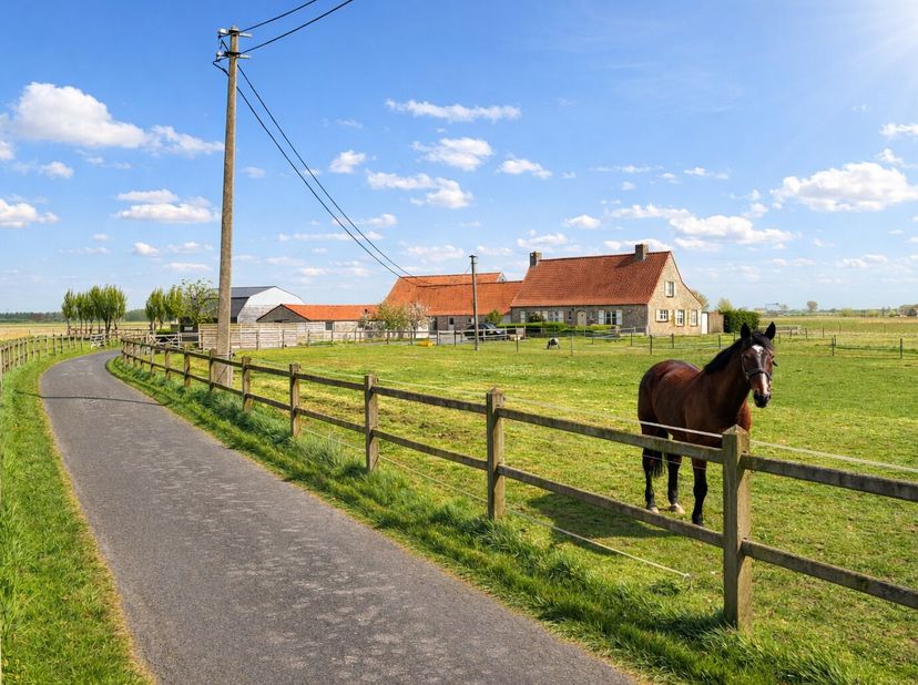 Exclusief te koop: een schitterend gelegen hoeve met bijgebouwen op een idyllische locatie te Knokke-Heist, volledig omgeven door weilanden. Een eigen