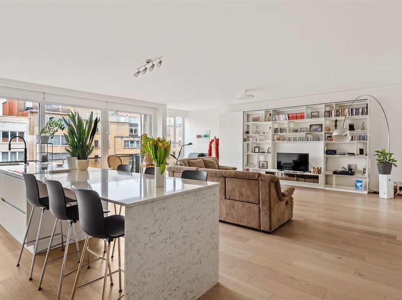 Dit gerenoveerd appartement staat te koop op de Belgiëlei in 2018 Antwerpen vlakbij het stadscentrum, Groen Kwartier, Koning Albertpark, talrijke wink