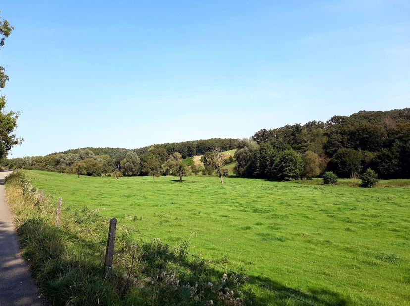 Zeer mooie weide met een oppervlakte van 2 ha 62 a 61 ca en een voormalige boomgaard.<br />
Het perceel ligt aan de weg.<br />
Het terrein loopt zeer