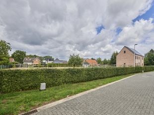 PLOT Image
