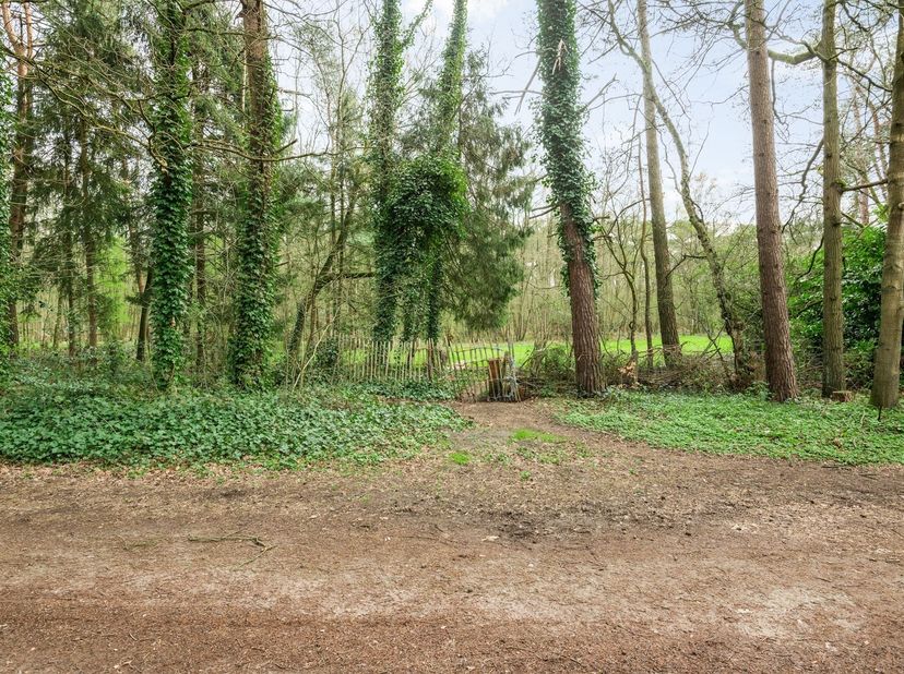 Cette parcelle de 4 acres, située sur la Lemmekensbaan à Zoersel, se trouve dans une zone agricole à valeur écologique. Par conséquent, elle n'est pas