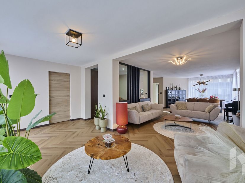 Maison à vendre à Dennenstraat 2,
                    3940 Hechtel