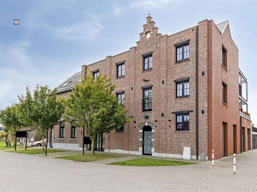 Appartement te koop in Kattestraat 45A bus 6,
                    2890 Oppuurs