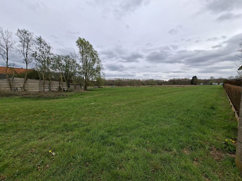 Terrain à vendre
                    à 3111 Wezemaal