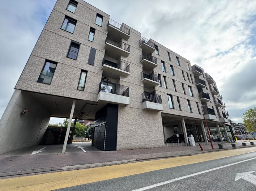 Appartement à louer
                    à 3630 Mechelen-aan-de-Maas