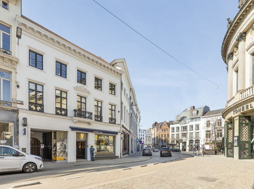 Uiterst gunstig gelegen opbrengsteigendom gelegen in de buurt van de Botanische tuin, omvattende vier entiteiten. Een bruisende omgeving omringd door