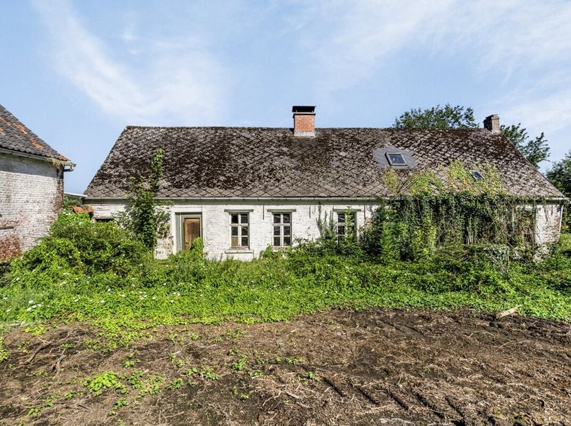 Ferme à rénover située dans un endroit unique avec une vue dégagée et verdoyante à Zandbergen.<br />
<br />
Cette ferme blanchie à la chaux (282 m²) a