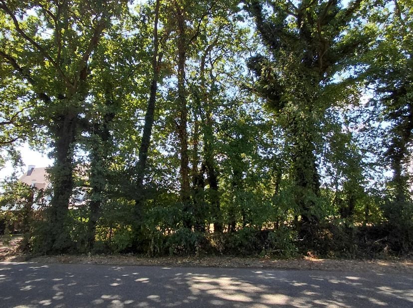 Terrain à vendre à Irislaan,
                    3550 Zolder