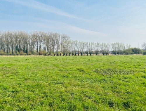                                         Terrain à bâtir à vendre à Deerlijk, € 475.000
