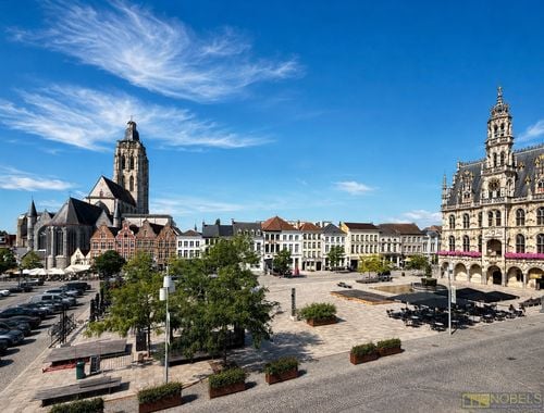                                         Maison de maître à vendre à Oudenaarde, € 650.000
