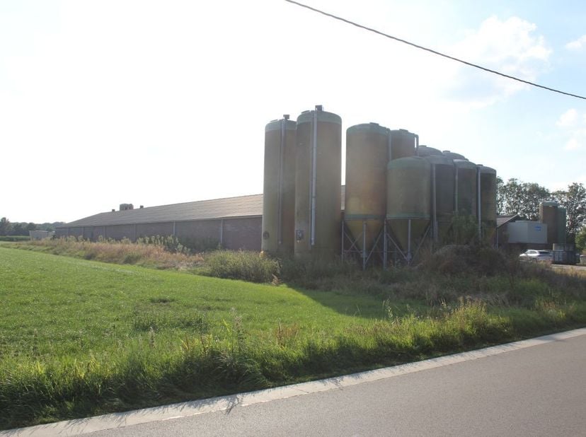 Landbouwbedrijf met grote landbouwloodsen te koop te Ravels (Weelde).<br />
Voormalig varkensbedrijf, stallen met één overspanning, deels omgebouwd na