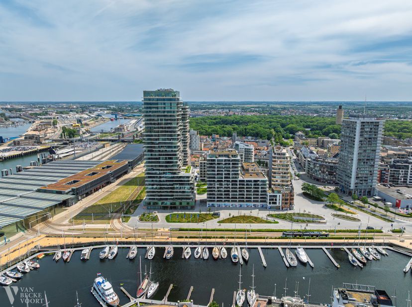Bien professionnel à vendre à Leopold III-laan 4,
                    8400 Oostende