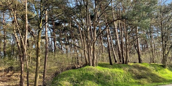 Terrain à vendre à De Rooy 87, 2400 Mol