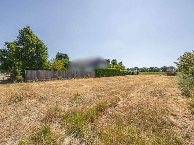 Terrain à vendre
                    à 3990 Wijchmaal