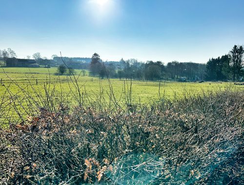                                         Terrain à bâtir à vendre à Samrée, € 65.000
