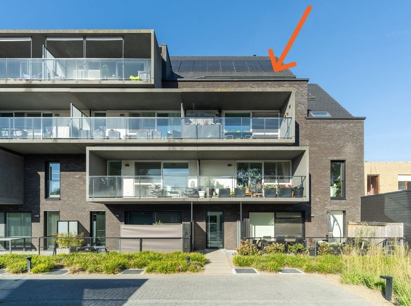 Appartement te koop in Raboudenburgstraat 3 bus 0202,
                    8310 Assebroek