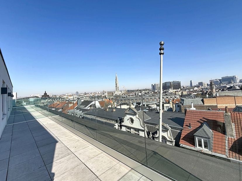 Dit penthouse , dat in 2018 volledig is gerenoveerd, ligt vlak bij de Kunstberg en het Centraal Station en heeft een bijzonder gunstige ligging, met s