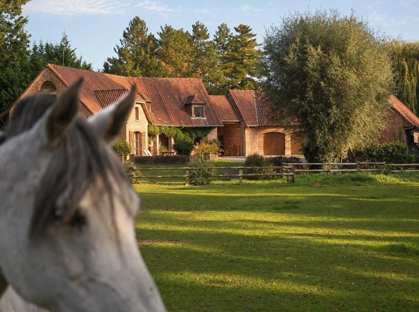 Huis te koop in ,
                    7603 Bon-Secours